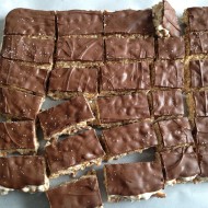 Chocolate Marshmallow Pretzel Bars