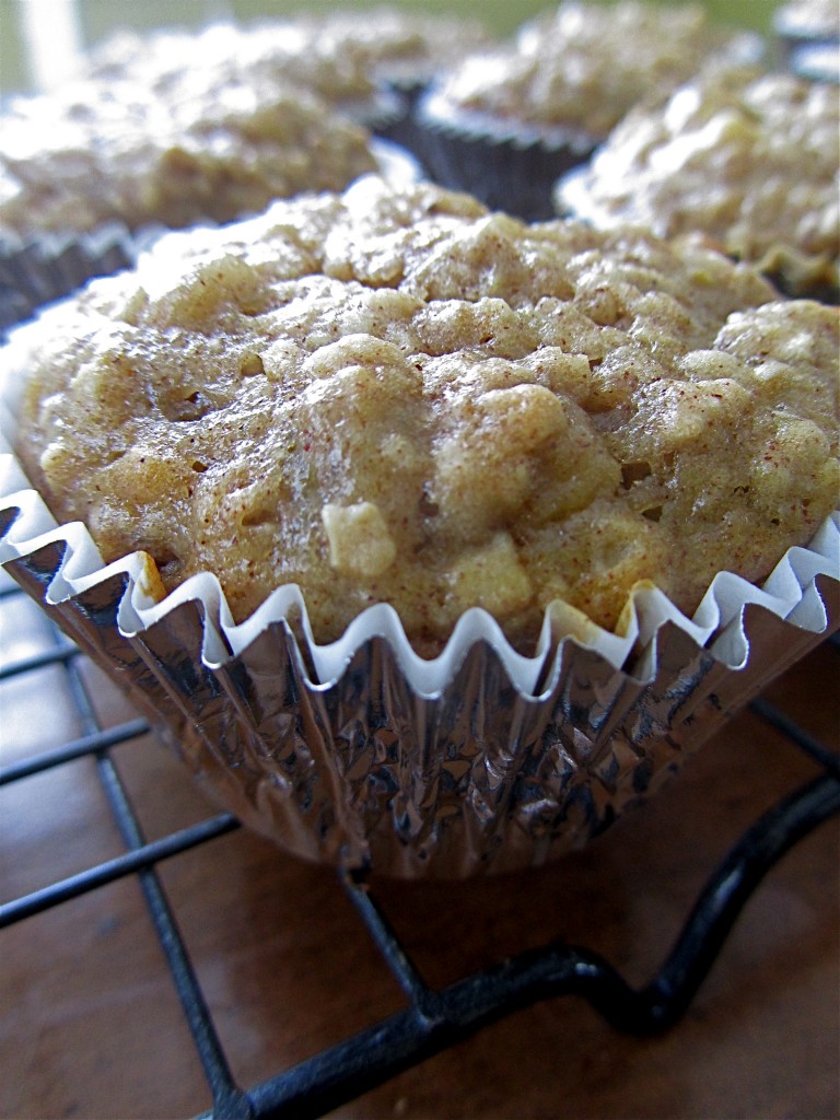 Oatmeal Banana Muffins