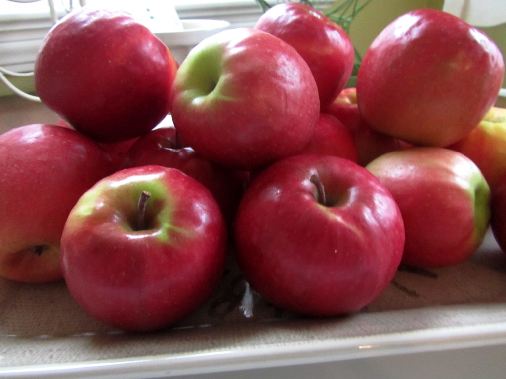 Shut The Front Door! Apple _____?