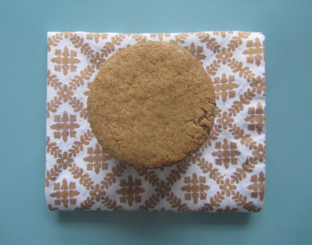 Homemade Graham Crackers