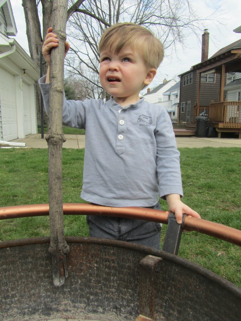 Sticks, Stones and Dirt.