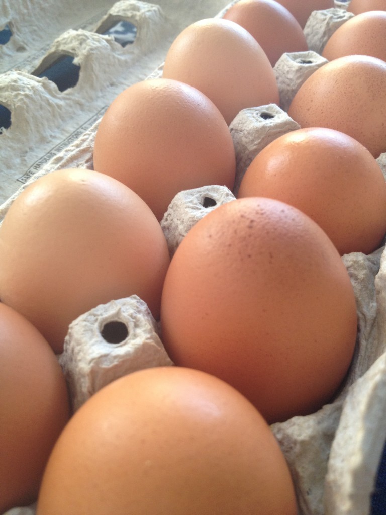 Egg Challenge.