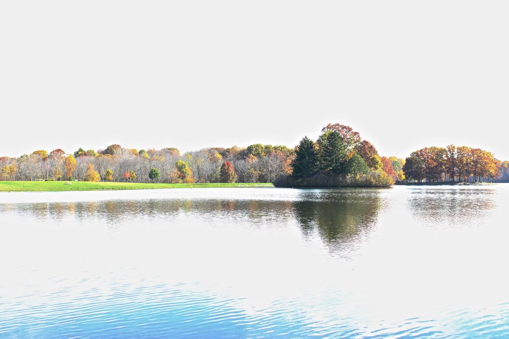 Blog Lovin’