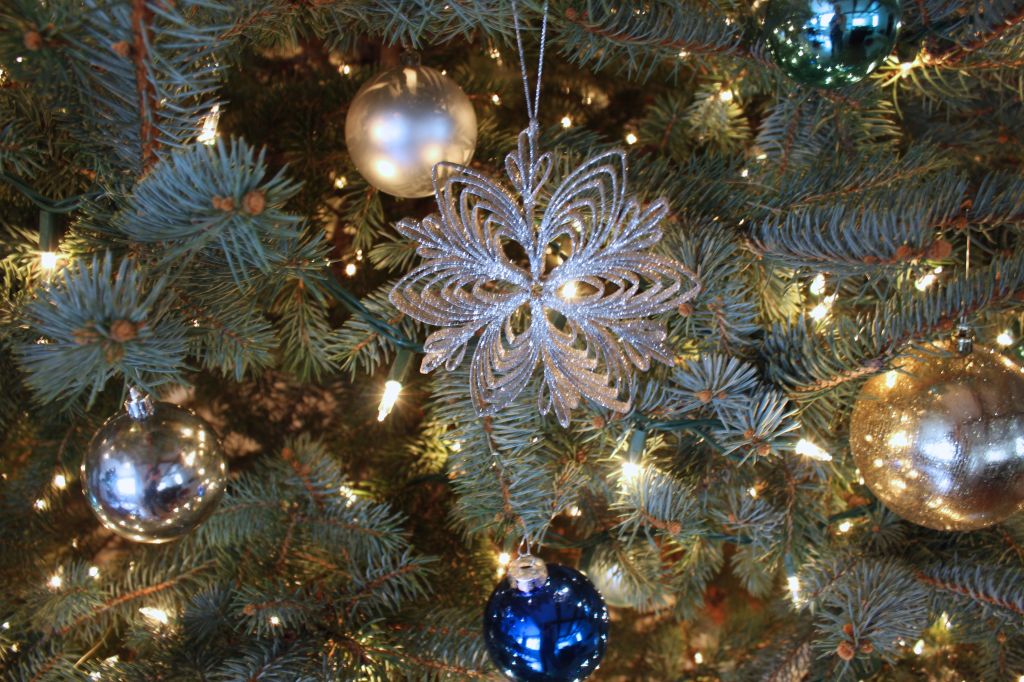 Dear Santa –