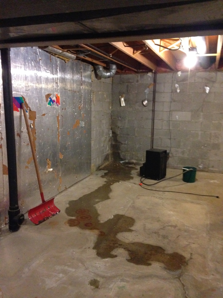 De Ja Vu Basement #2