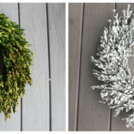 When your boxwood wreath goes bad …