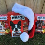 Holiday Dog Treats at Dollar General