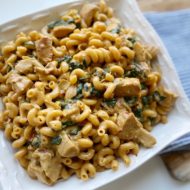 One-Pot Spinach Artichoke Pasta