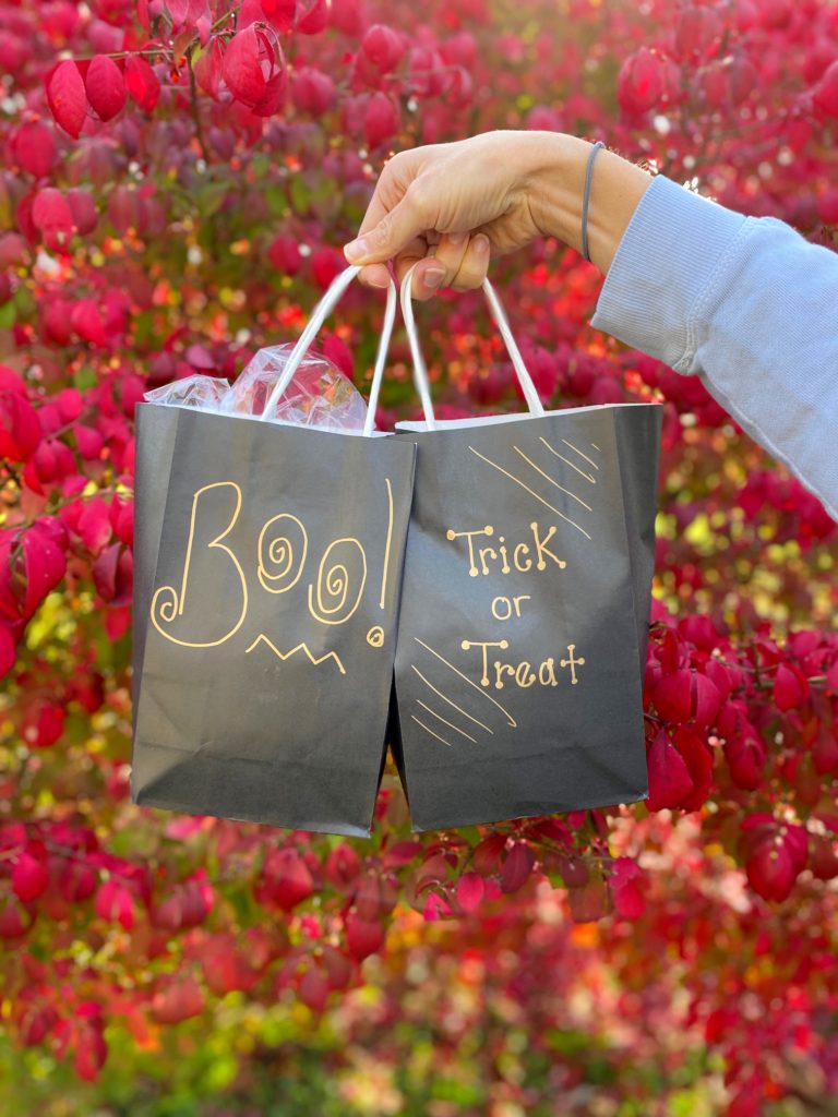 Trick-or-Treat Boo! Bags